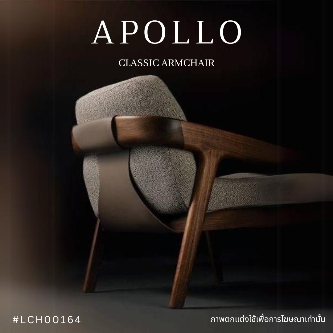 APOLLO classic armchair