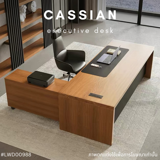 CASSIAN executive desk