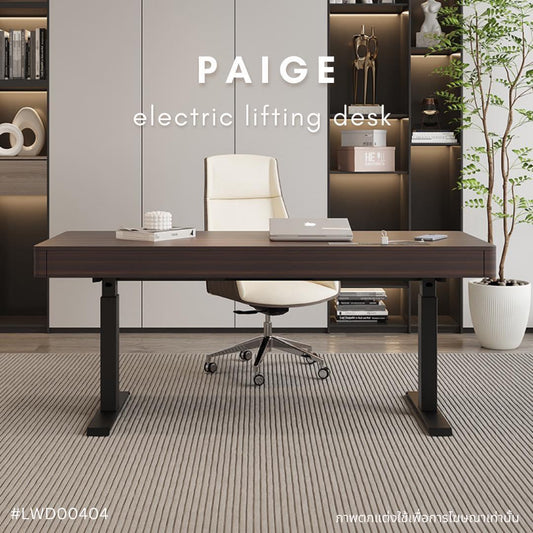 PAIGE electric lifting desk